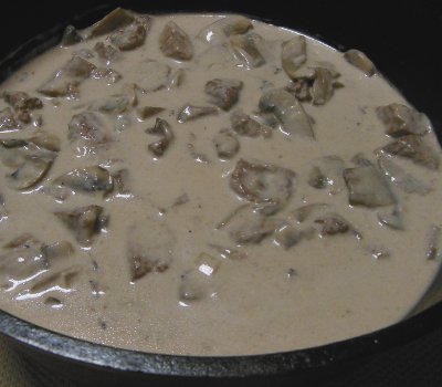 dutch oven stroganoff recipe